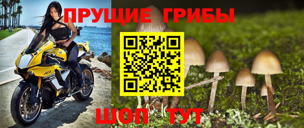 Псилоцибиновые грибы мицелий  Вход с VPN  купить  сайты  Жигулёвск 